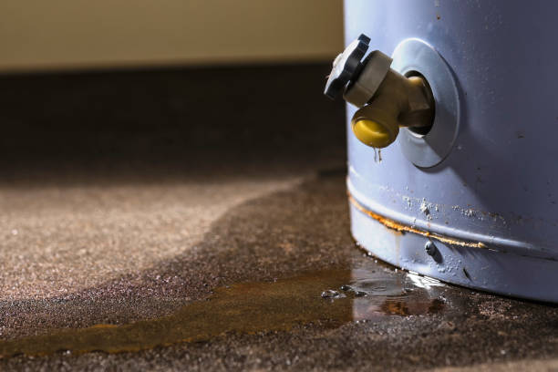 Best Emergency water damage restoration  in Lynnwood, WA